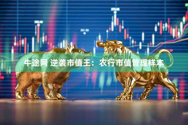 牛途网 逆袭市值王：农行市值管理样本